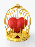 golden-cage
