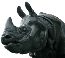 Thick skin rhino